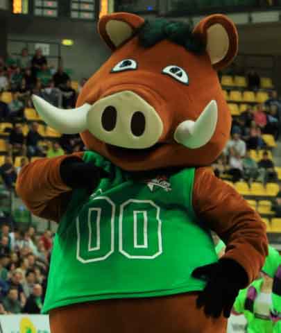 Zastal Zielona Góra - Śląsk Wrocław