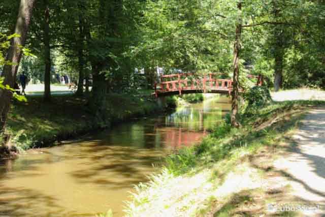 Lubuski Piknik Zdrowia w Iłowej