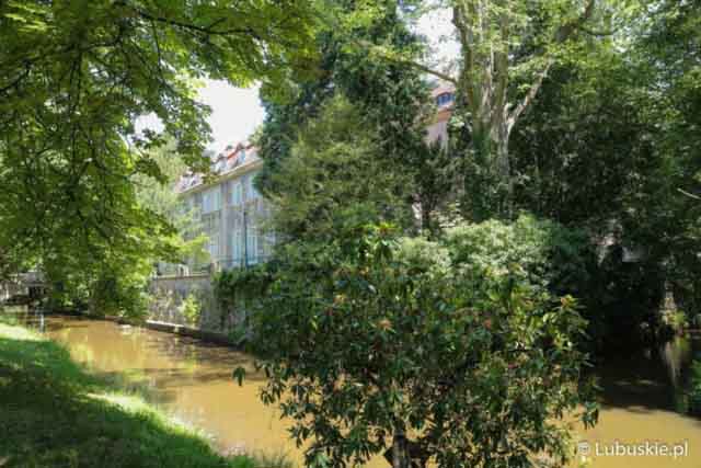 Lubuski Piknik Zdrowia w Iłowej