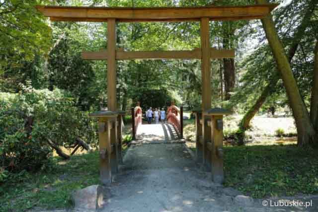 Lubuski Piknik Zdrowia w Iłowej