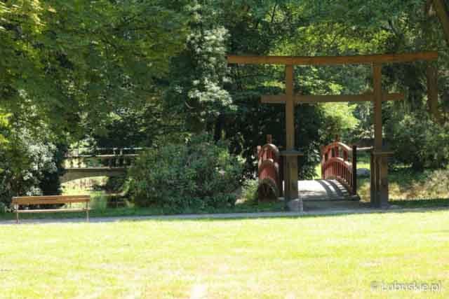 Lubuski Piknik Zdrowia w Iłowej