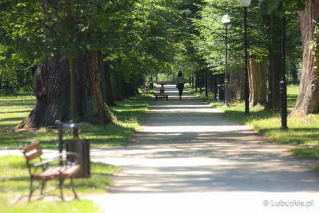 Lubuski Piknik Zdrowia w Iłowej