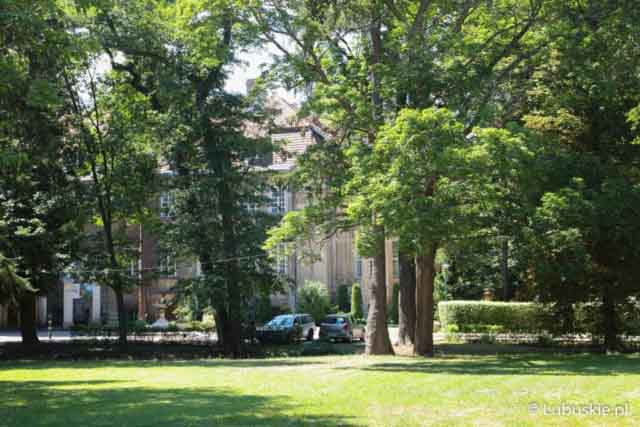 Lubuski Piknik Zdrowia w Iłowej