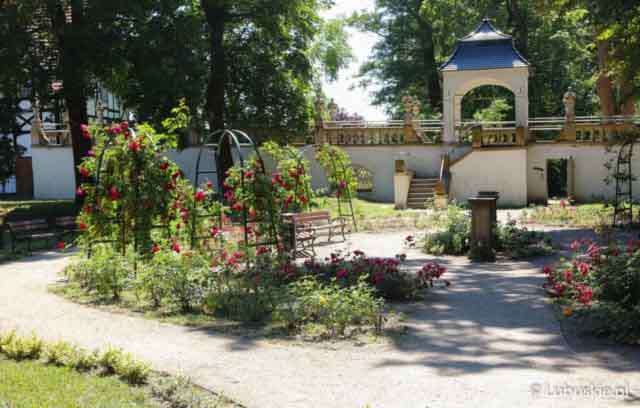 Lubuski Piknik Zdrowia w Iłowej