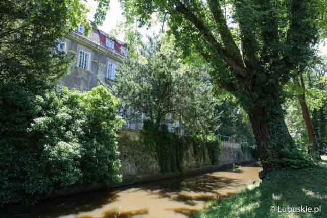 Lubuski Piknik Zdrowia w Iłowej