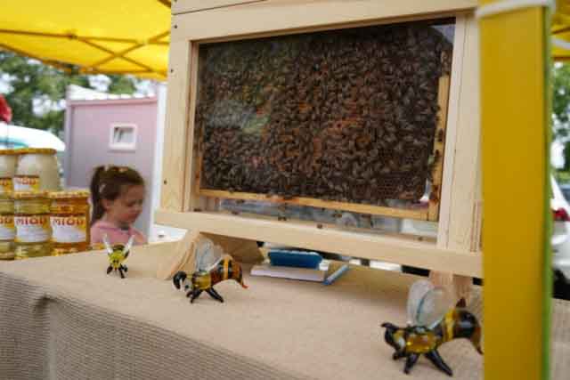 Lubuski Piknik Zdrowia i Profilaktyki w Lubięcinie