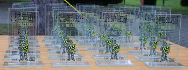 VI Bieg Sulecha w Sulechowie