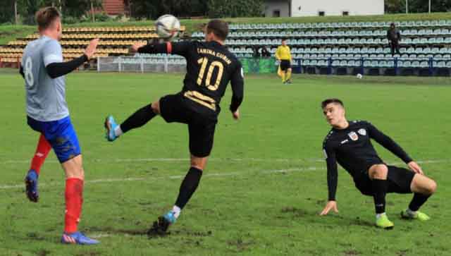 Piast Czerwieńsk - Carina Gubin