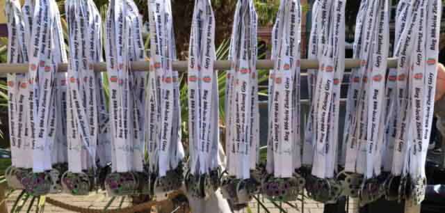 Bieg 800-lecia Zielonej Góry