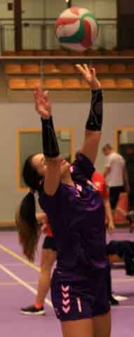 VI Ogólnopolska Olimpiada Urzędów Marszałkowskich w Drzonkowie - turniej siatkówki