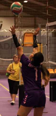 VI Ogólnopolska Olimpiada Urzędów Marszałkowskich w Drzonkowie - turniej siatkówki