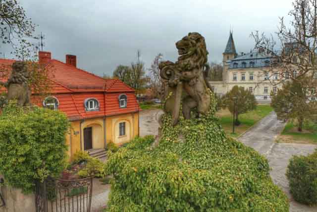 235097535_2908840359371765_564663573768214250_n