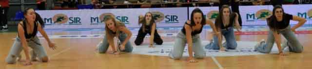 Zastal Zielona Góra - Polski Cukier Start Lublin