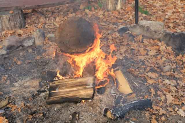 Dzika Ochla. EKM Lubuskie Morsy zaczyna sezon