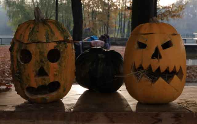 Dzika Ochla. EKM Lubuskie Morsy zaczyna sezon