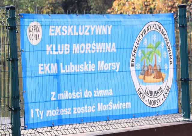 Dzika Ochla. EKM Lubuskie Morsy zaczyna sezon
