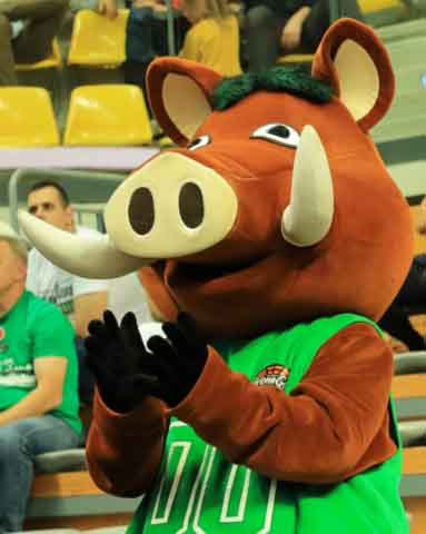 Zastal Zielona Góra - Czarni Słupsk