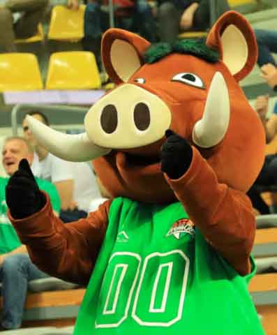 Zastal Zielona Góra - Czarni Słupsk