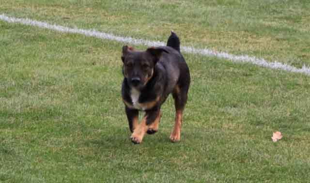 Odra Nietków - Spójnia Ośno Lubuskie