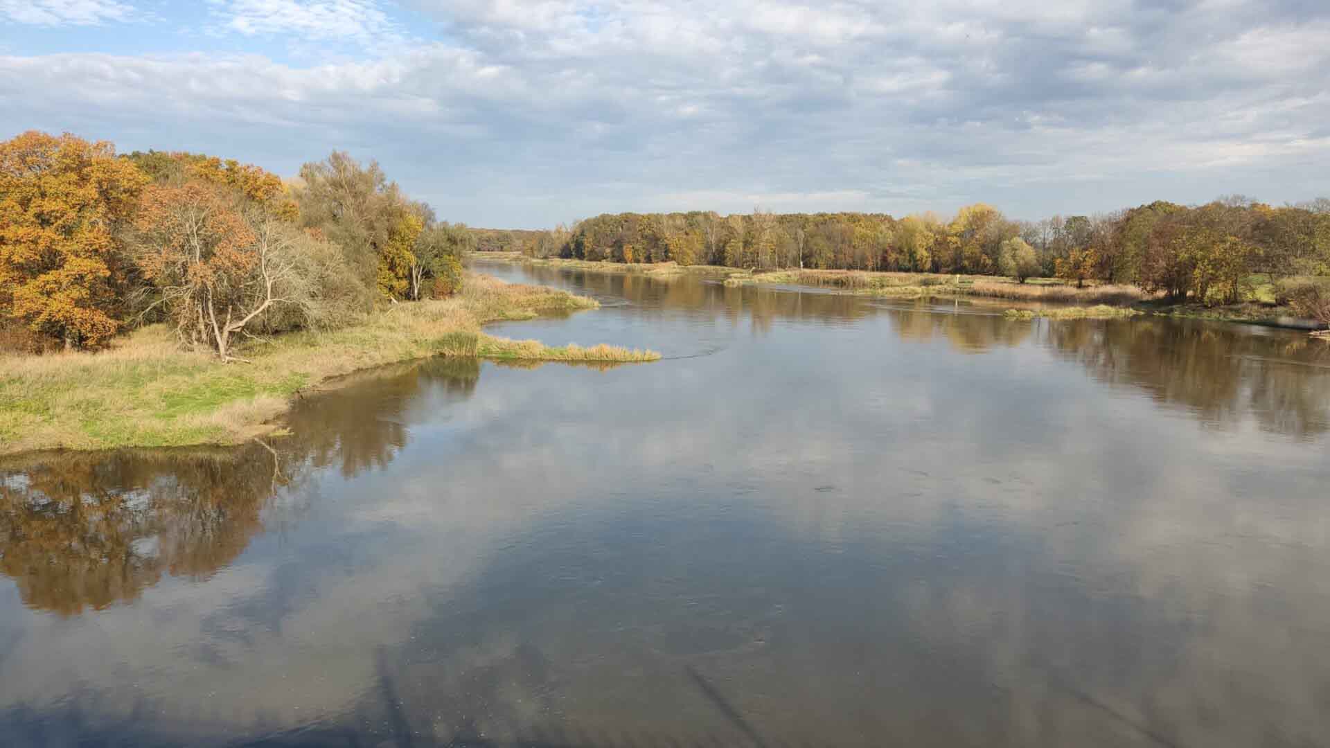   Czy zbliża się kolejna katastrofa na Odrze