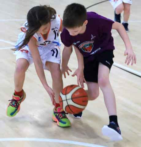 Minibasket w Zielonej Górze