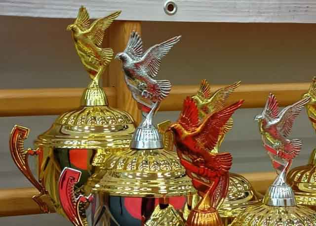 47. Wystawa Gołębi Pocztowych Okręgu Zielona Góra