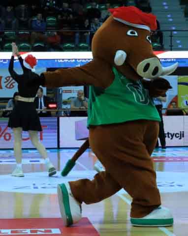 Zastal Zielona Góra - Sokół Łańcut