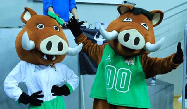 Enea Zastal BC Zielona Góra - Polski Cukier Start Lublin