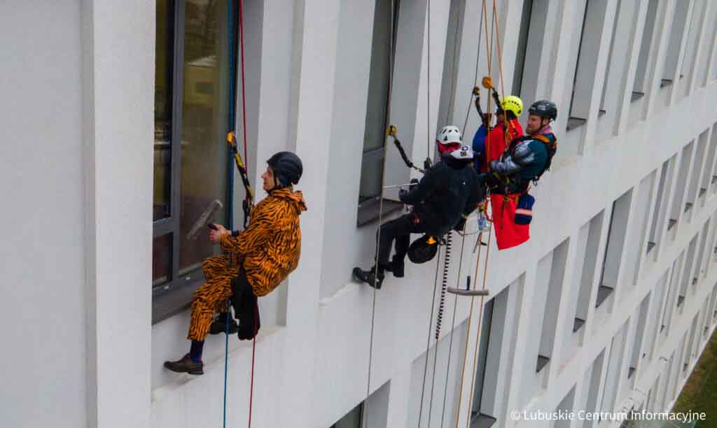 "Alpiniści dla WOŚP" - akcja mycia okien w Centrum Zdrowia Matki i Dziecka w Zielonej Górze.