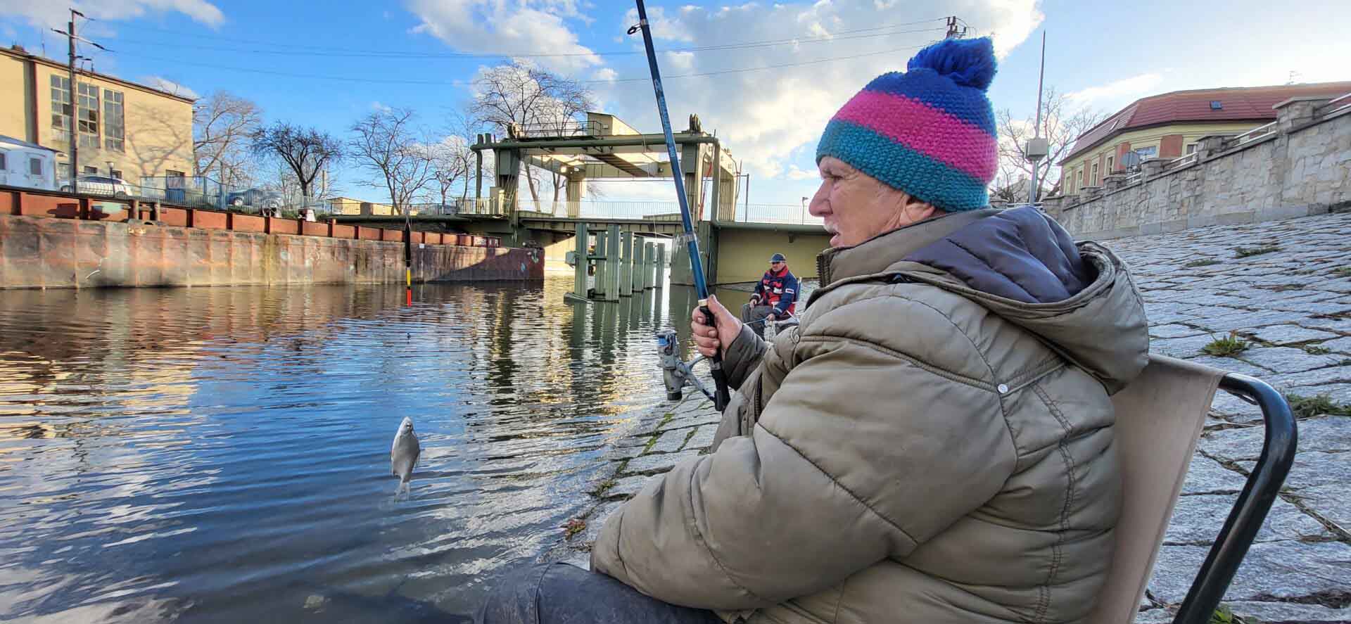   Co dalej z Odrą Złote algi mają się dobrze i zawdzięczamy to kopalniom