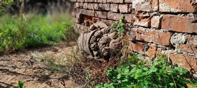 343310787_621301552863868_7676789825326467151_n