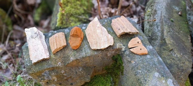 343321331_178382538473281_1863868696607063175_n