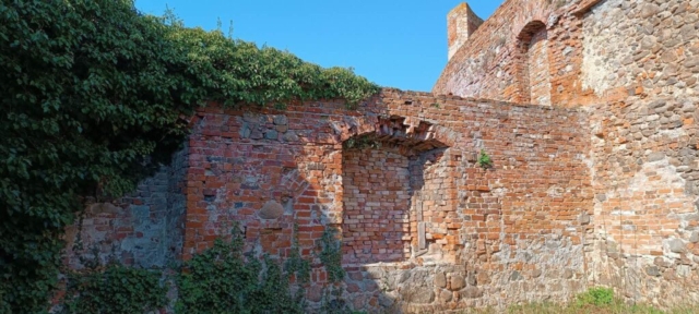 343573786_796806188742998_7318395191819479453_n