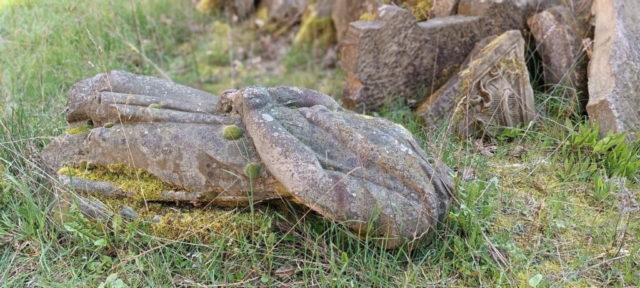 343578108_250205547575074_5320033972551164197_n