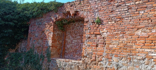 343595380_159358760416137_6970124903241088839_n