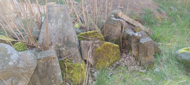 343626523_2131875140335719_2604126898955637278_n