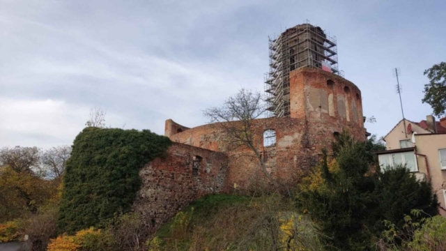 IMG_20221024_121240-scaled