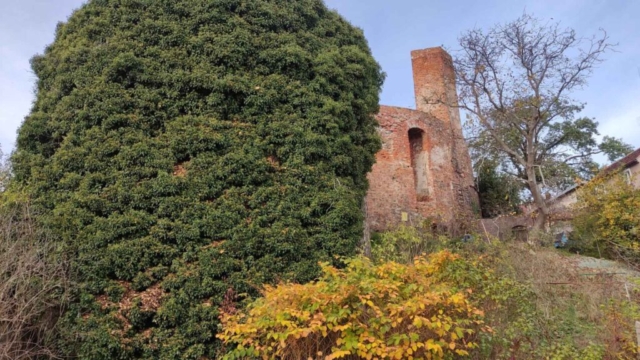 IMG_20221024_121319-scaled