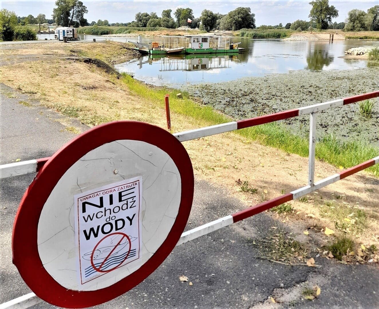   Sztab kryzysowy na Śląsku Śnięte ryby płyną z Czech