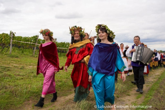 Winobranie na winnicy samorządowej 2023