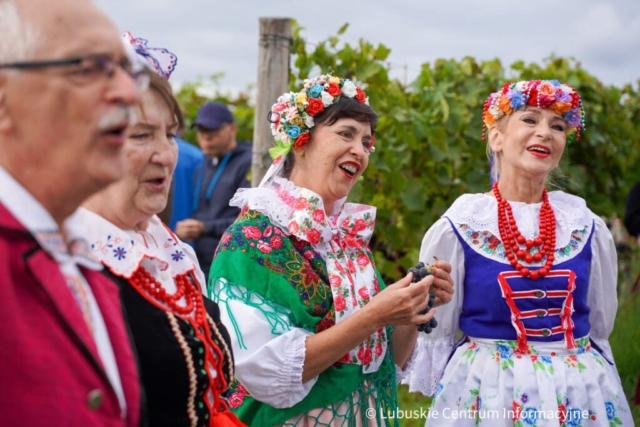 Winobranie na winnicy samorządowej 2023