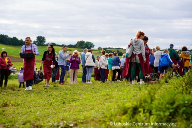 Winobranie na winnicy samorządowej 2023