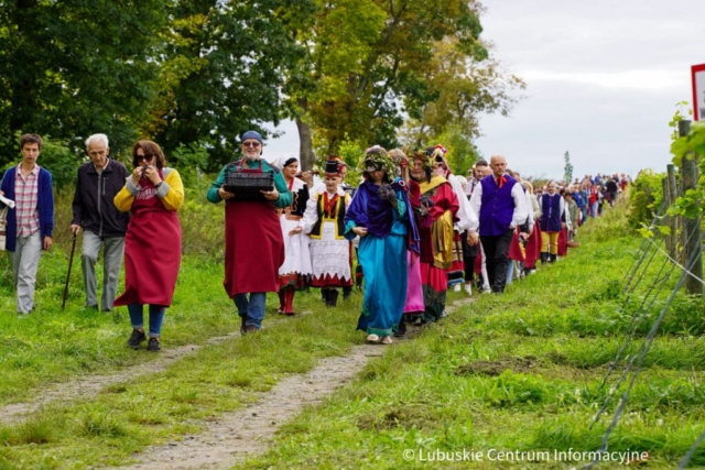 Winobranie na winnicy samorządowej 2023