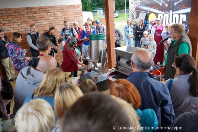 Winobranie na winnicy samorządowej 2023