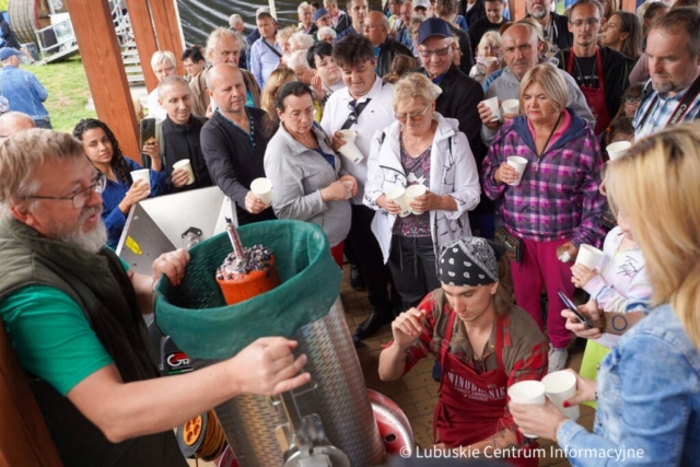 Winobranie na winnicy samorządowej 2023