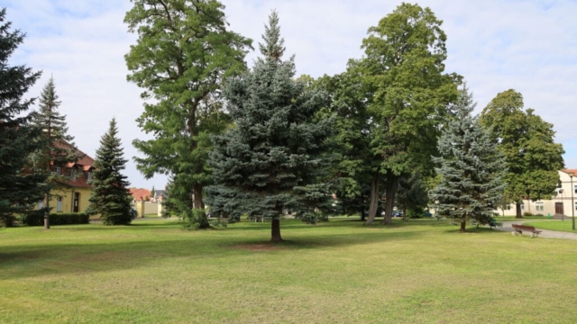 Konferencja prasowa w sprawie rewitalizacji parku przy pałacu w Zaborze