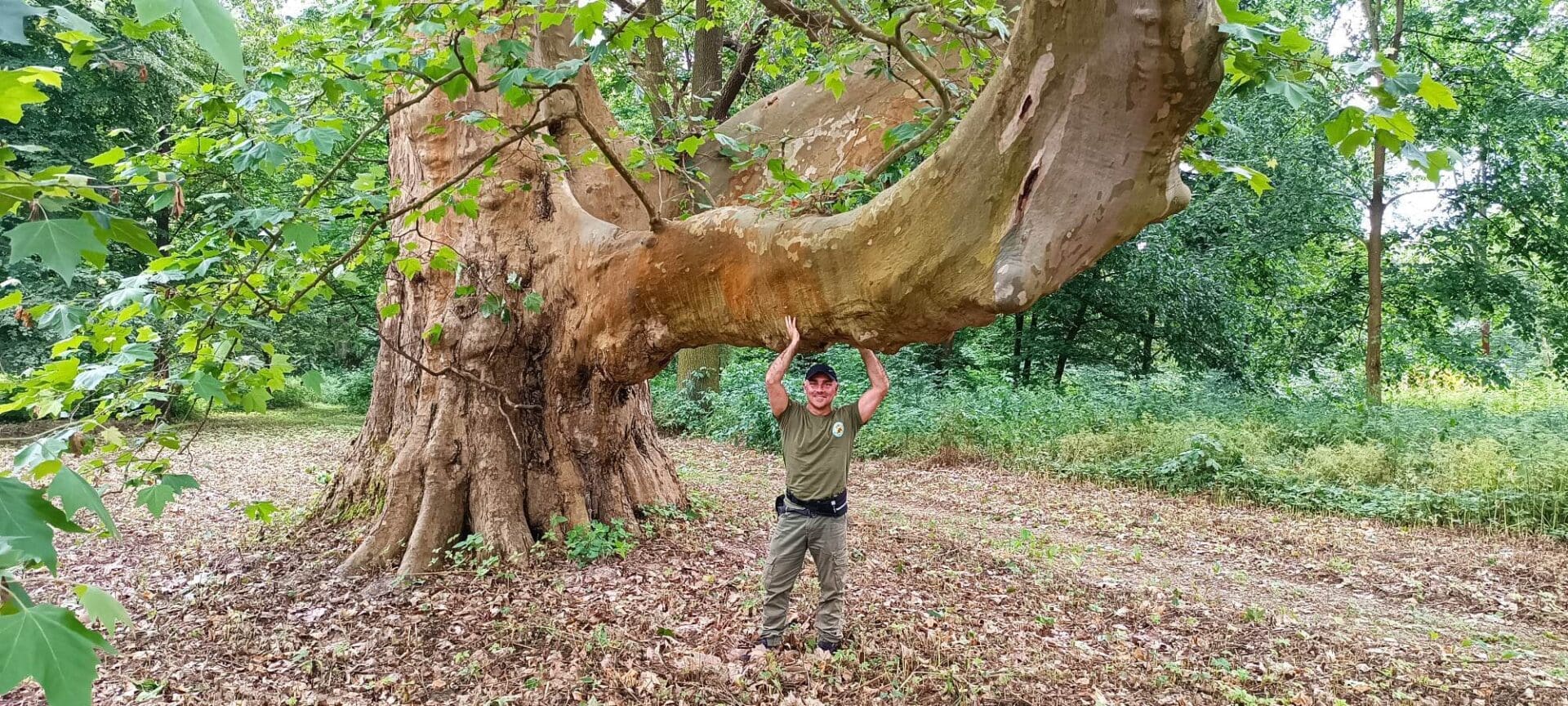   Myślisz że to Amazonia Nic podobnego