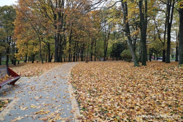 Park Tysiąclecia w Zielonej Górze po remoncie