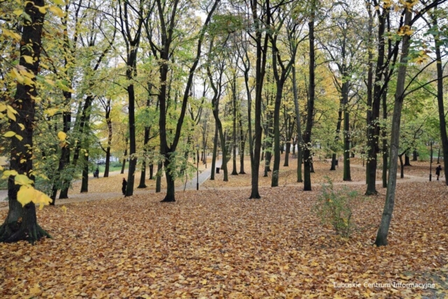 Park Tysiąclecia w Zielonej Górze po remoncie