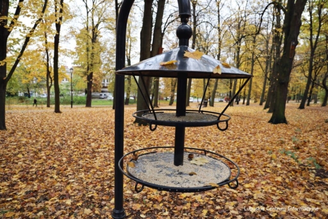 Park Tysiąclecia w Zielonej Górze po remoncie